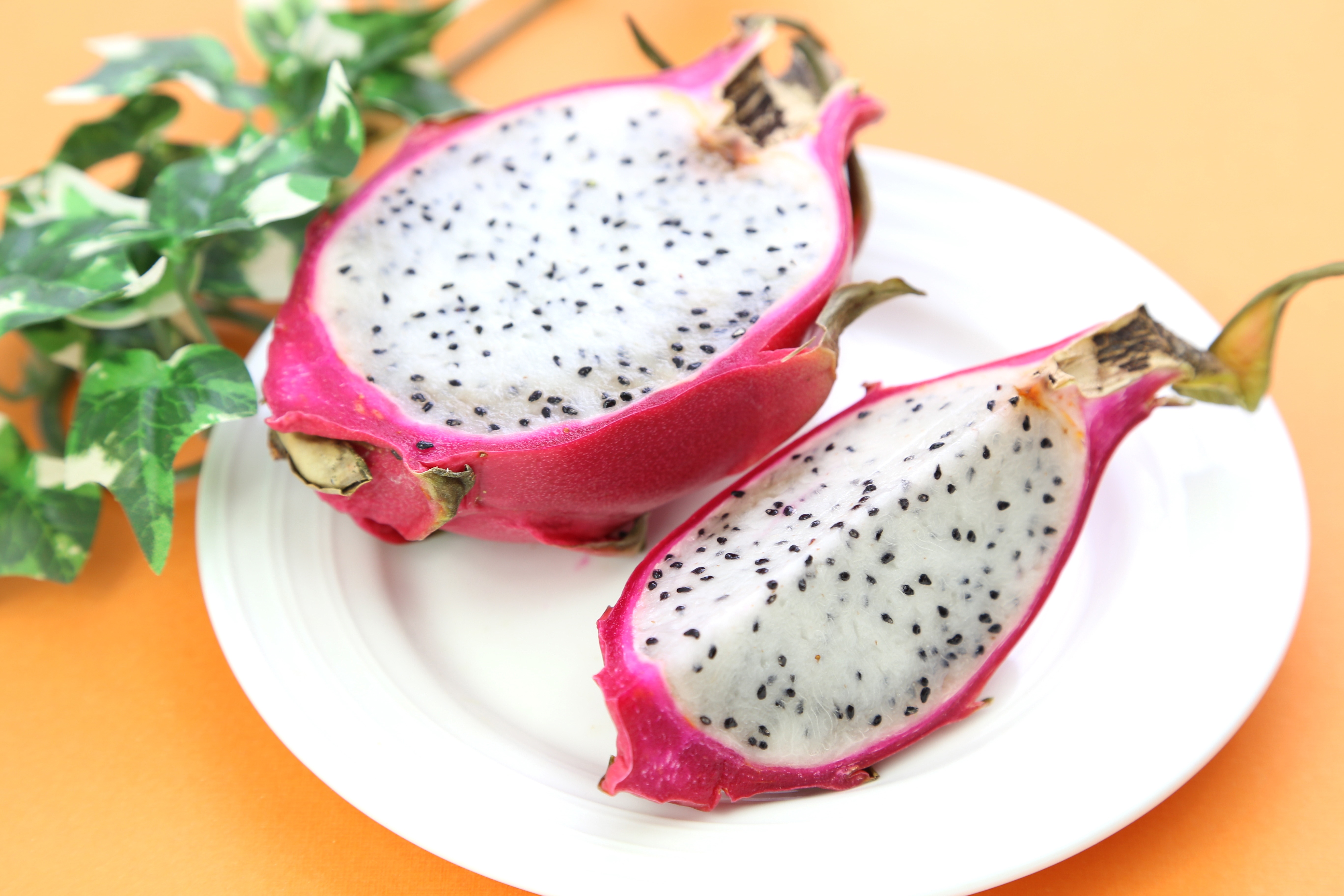 ドラゴンフルーツ